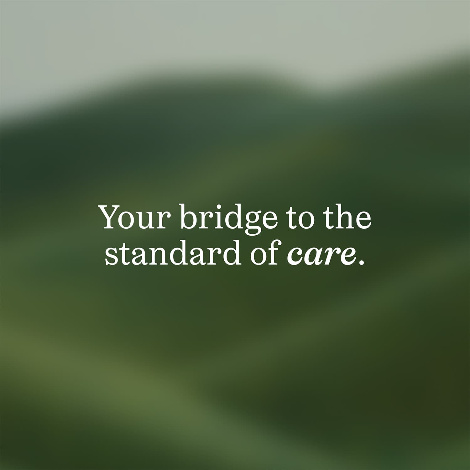 Bridge - Too soft to take off
