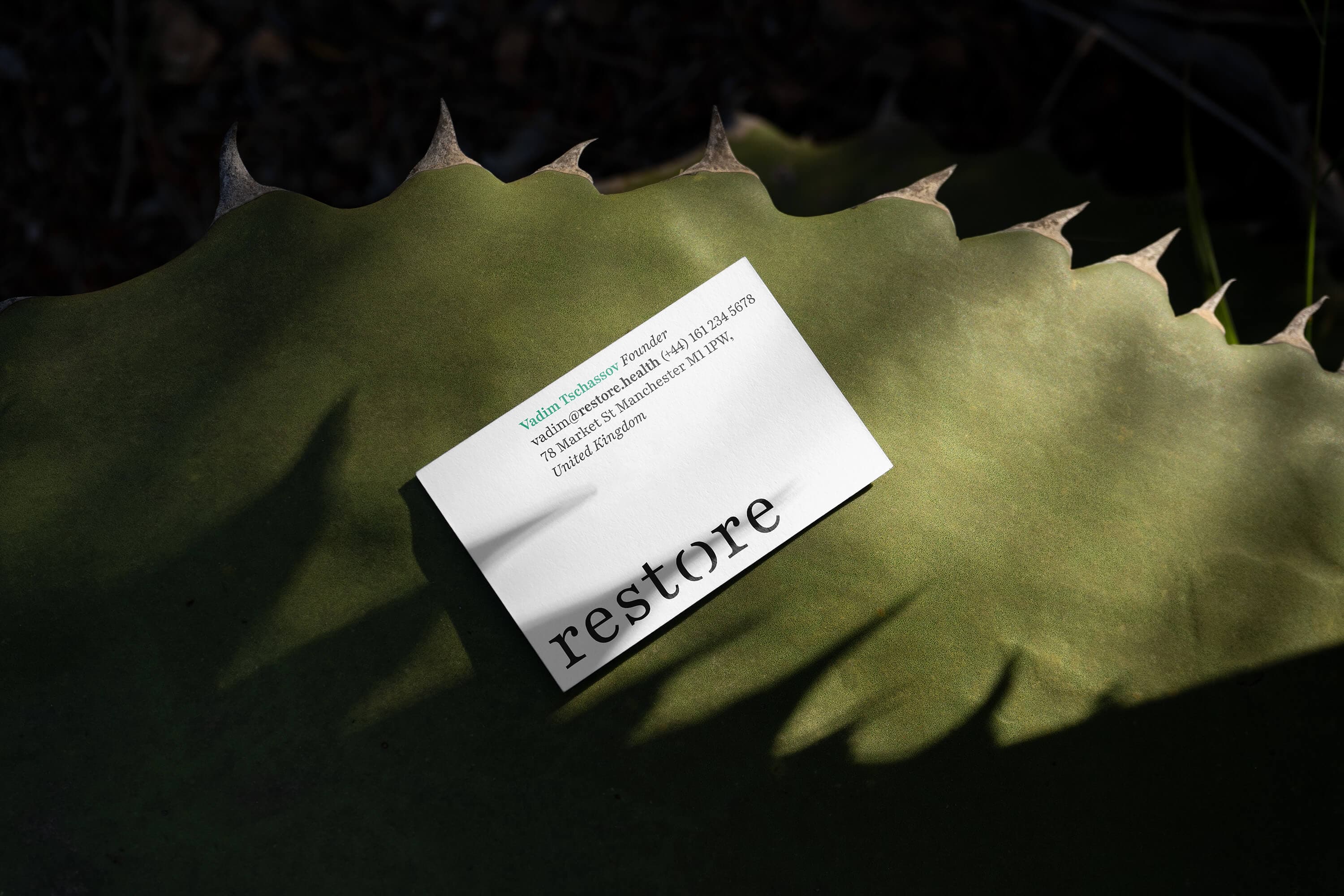 Restore - Building the Brand of Mental Wellness for Leaders