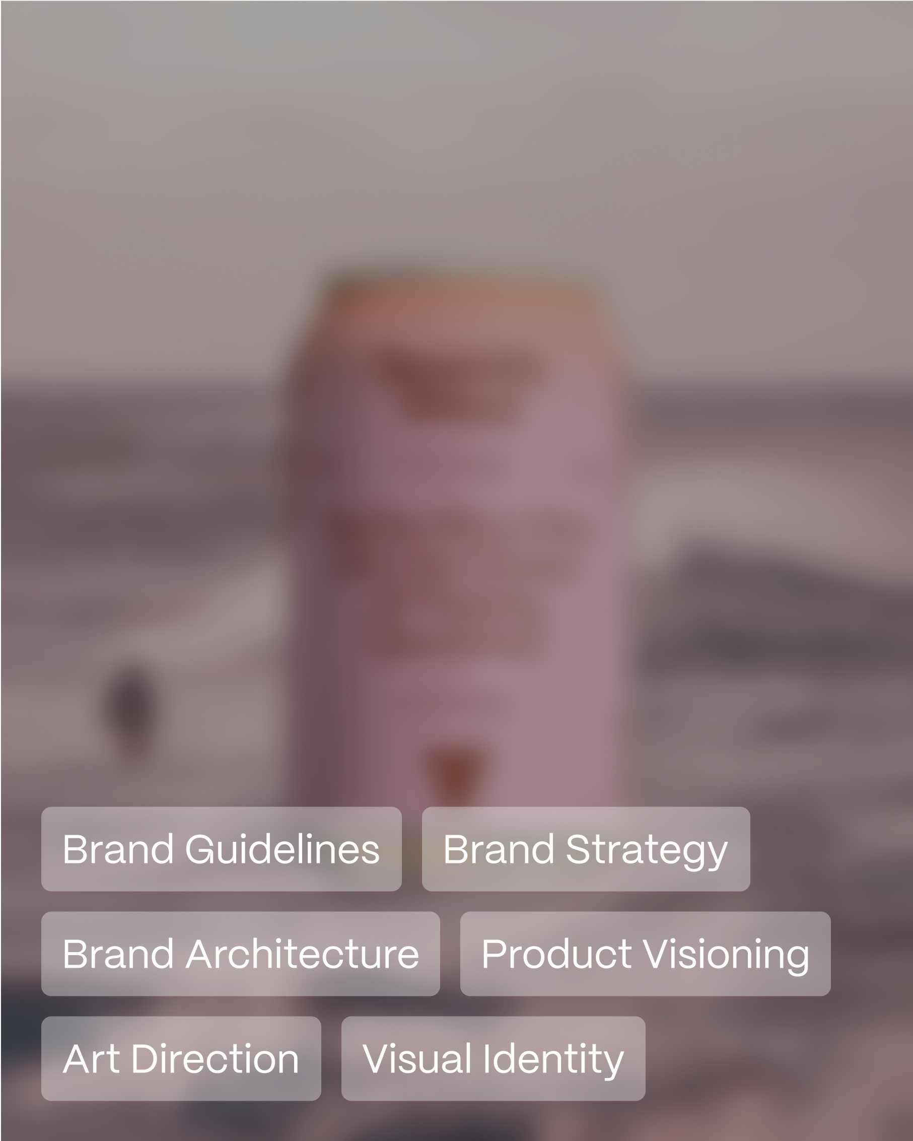 brand-option